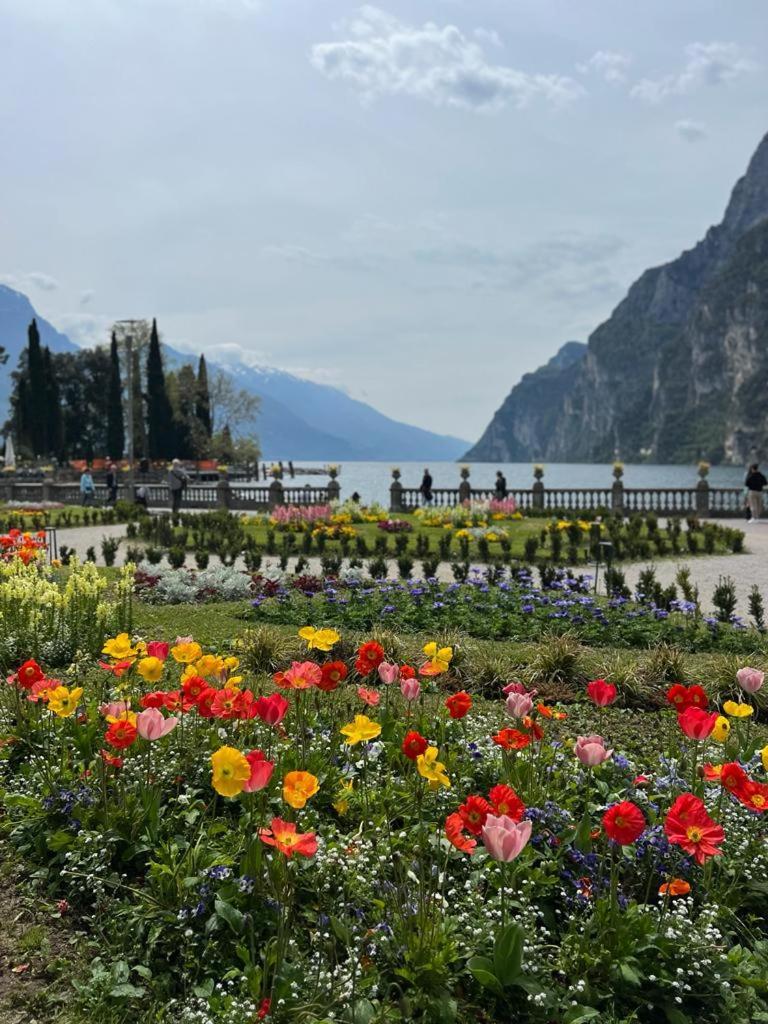 Absentia 1763 Garda Boutique Home - Lake Front Brenzone sul Garda Buitenkant foto